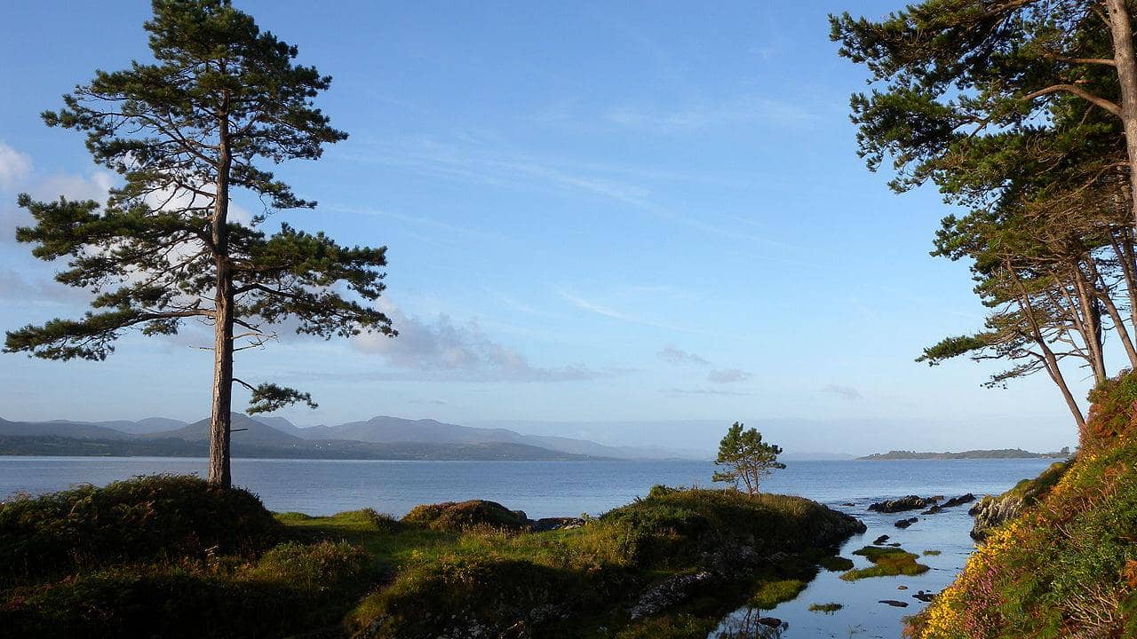 Ring of Kerry Day Tour, Kerry, Ireland | Tiqy